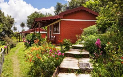 Traditional Kumaoni stone and wood cottages set on a lush mountain slope